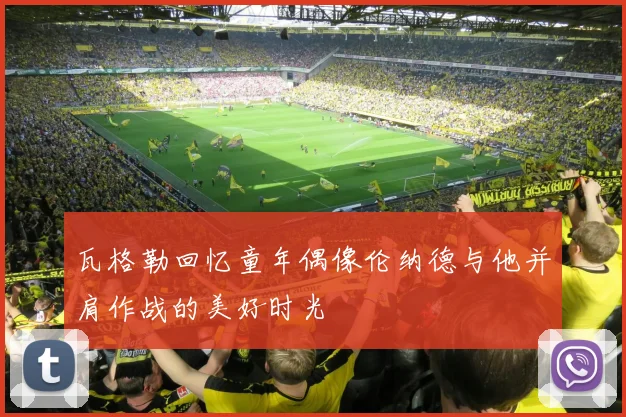 瓦格勒回忆童年偶像伦纳德与他并肩作战的美好时光
